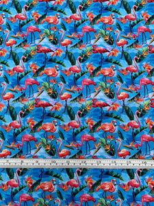 Fabric - Fabulous Flamingos by Ro Gregg 50cm piece